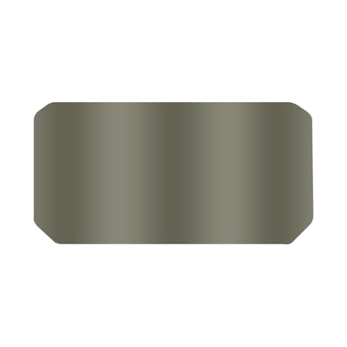 Film protection CFMOTO 450SR écran protecteur moto tan