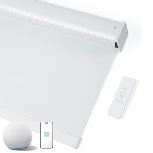 JaeJaes Motorized Roller Shades with Remote