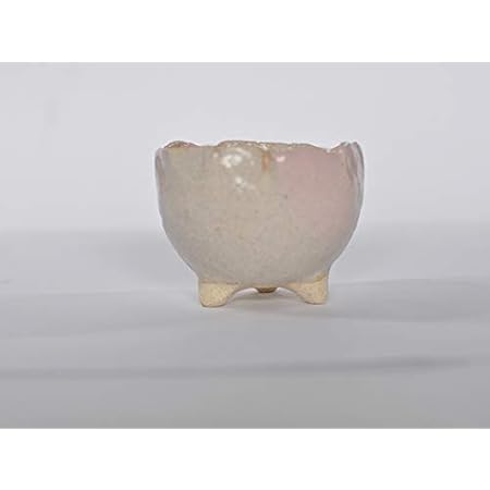 Amazon Co Jp 盆栽妙 信楽焼 盆栽鉢 3号 山野草 手ひねりの小丸三足 白桃 鉢幅8 5 9 5cm 高さ6 7cm 陶器製 植え替えキット付き a1121 Diy 工具 ガーデン
