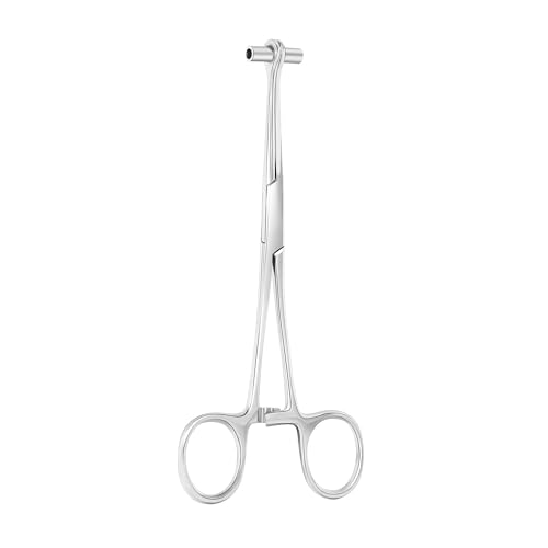 sAXNv @Zv^ sAXc[ ׂĂ̗p 316L XeXX`[ O @  ւ  {fBLbg