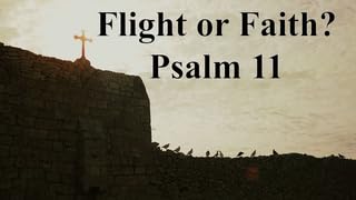 Flight or Faith? (audio)