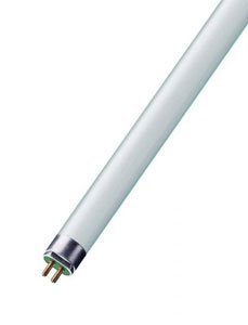 Image of 13W 525mm Cool White T5 Tube by Crompton Lamps
