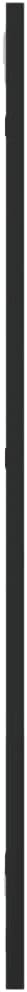 vidaXL Wall Mirror Black Glass 11.8 x 31.5 in Wall mounting