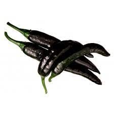 Black chilli seeds for home gardening (80 seeds) (B0C53F9TGM) Amazon Price History, Amazon Price Tracker