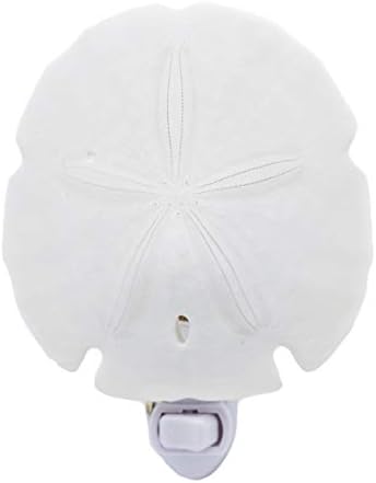 Florida Shells and Gifts Inc. Seashell Night Light Real White Sand Dollar Beach Decor w. On/Off Switch Beautiful Coastal Cottage