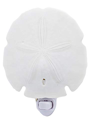 Florida Shells And Gifts Inc. Seashell Night Light Real White Sand Dollar Beach Decor W. On/Off Switch Beautiful Coastal Cottage #TOP30
