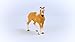 Schleich Horses 2023, Horse Club, Horse Toys for Girls and Boys Haflinger Mare Horse Toy Figurine, Ages 5+ Multi