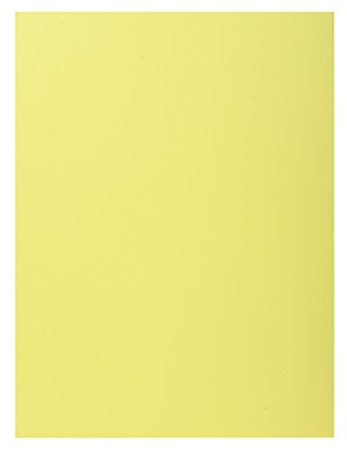 Exacompta, Ref 339005E, Super 210 1-Flap Folders, 240 x 320mm in Size, Suitable for Holding A4 Documents, 210gsm Card