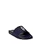 Spring Navy Beach Shop Bear
