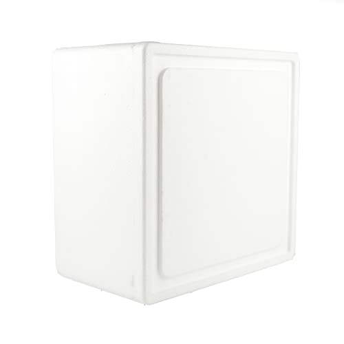 DUE ESSE S.N.C. DI SABATINI ALDO & C. 1 Caja Térmica Blanca Cuadrada 33 x 33 cm + Tapa, Caja para Transportar Alimentos