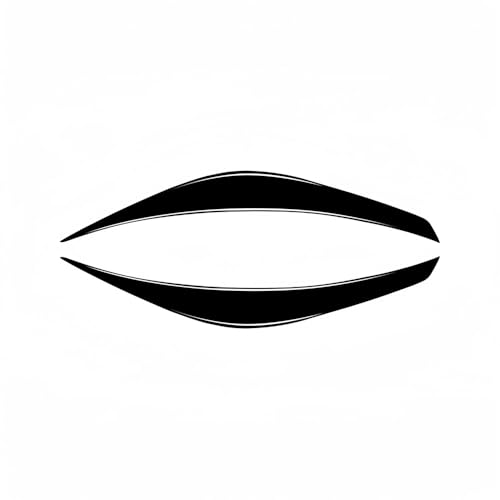 Sourcil phare voiture pour un look sportif lors de vos rassemblements auto