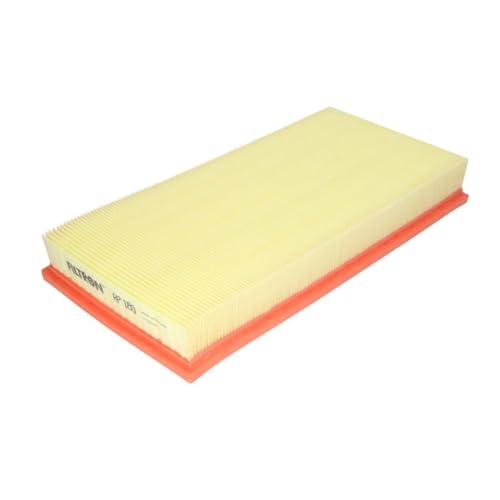 Filtron Filtre Ă air AP180