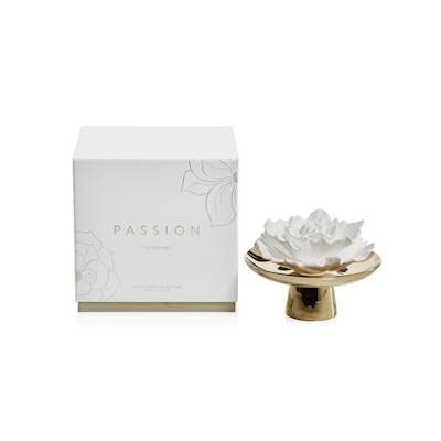 Zodax FIG VETIVER - Passion Porcelain Porcelain Diffuser