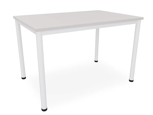 Dila GmbH Schreibtisch/Besprechungstisch in verschiedenen Größen und Farben weißes Metallgestell Konferenztisch Arbeitstisch (B: 120 cm x T: 80 cm, Lichtgrau)