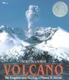 Volcano: The Eruption and Healing of Mount St. ... 0590981854 Book Cover