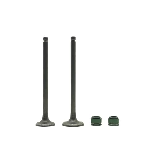 Válvulas de admisión y escape con retén para VF125 (Valve Set 1 Pair)