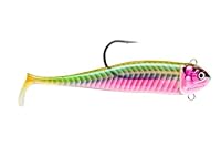 BISCAY MINNOW 16-106G SSDL