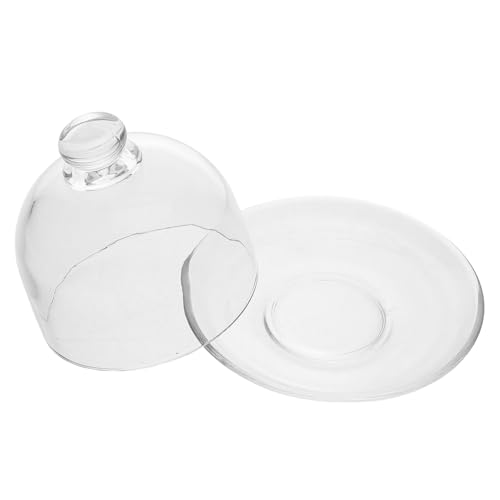 Plat de service en verre pour protéger et servir vos gâteaux