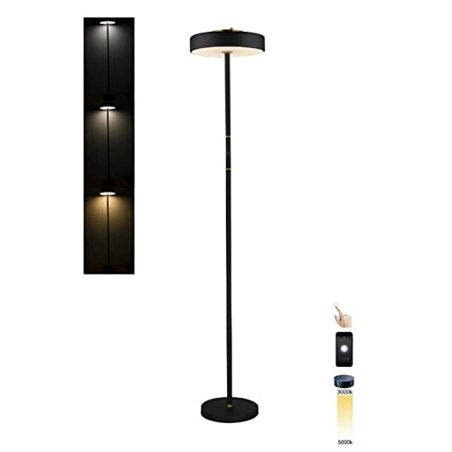 Lámpara de pie LED TTDGYYXW con control táctil y remoto para sala de estar