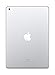 New Apple iPad (10.2-Inch, Wi-Fi, 32GB) - Silver (Latest Model)