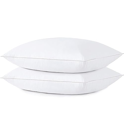 Image of Acteb Flat Thin Pillows Queen Size Set of 2 Pack Bed Basic Sleeping Pillow for Stomach Sleeper 20x30 Inches
