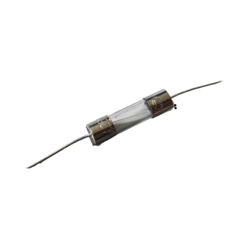 Tube fusible en verre 5x20mm 20A idéal pour restaurer un appareil