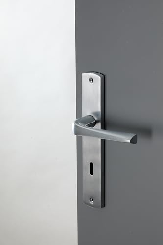 Bricard 879050 Pair of Handles Satin Chrome Zamack on Evidence Plate, Interior Door, Chrome-plated - Image 2