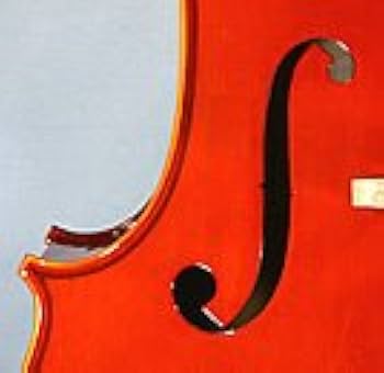 【分数チェロ】 1/2サイズ チェロ ピグマリウス ソフトケース付 ピグマリウス スタンダード / チェロ | アルシェ公式オンライン