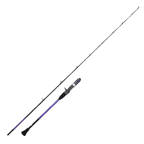 HANDING Cruiser Shadow SlowPitch Jigging Rod, Fuji