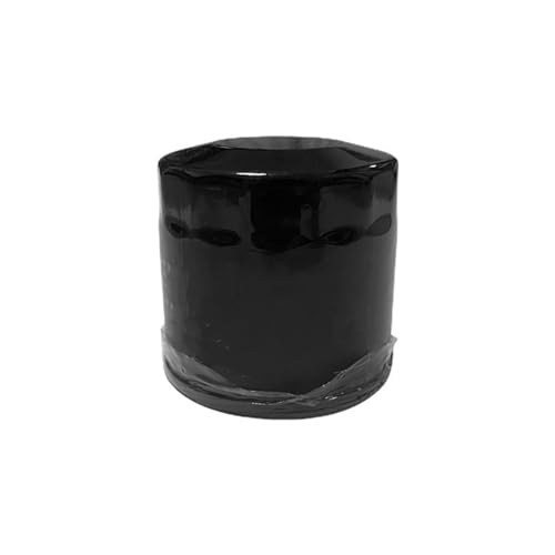 Filtre à huile moto Benda Chinchilla300 Rock300 moteur BD300-15