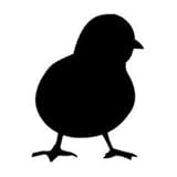 Baby Chick Stencil Made from 4 Ply Matboard