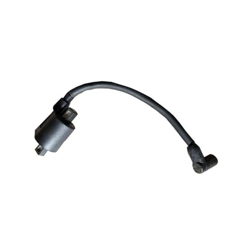 Bobine d'allumage compatible avec moteur 2 temps 6,0 CV pour motoculture