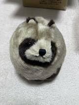 Amazon.co.jp: えぞ子だぬき ぬいぐるみ ばんばぱえりあ 動物