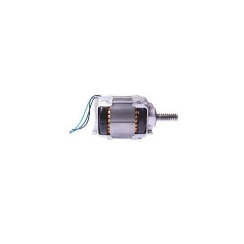 Motor eléctrico ensamblado 220 V 230 V Wingo 5000 4000 Repuesto Nice WGA05