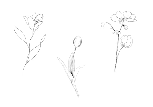 Abstract Wall Art Flower, Line Drawing Botanical Wall Art Print,