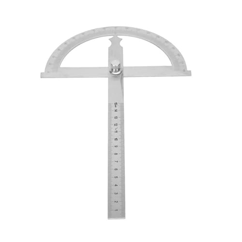 Transportador de acero inoxidable Sonew 150x200mm miniatura 6