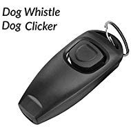 Apito para Cães da para impedir latidos e oscilações de cães