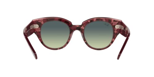 Ray-Ban Women's Rb2192 Roundabout Round Sunglasses4