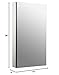Kohler K-2918-PG-SAA Catalan Medicine Cabinet with Mirror Door, Adjustable Shelves, 107 Degree Hinge, Rectangular Frame, 20