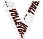 Volleyball Medals - 2.25" Bronze Volleyball Team Medal Awards