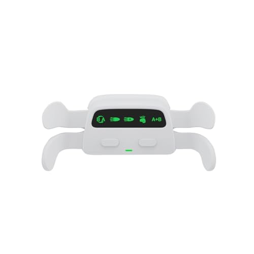 Programmable Back Paddles