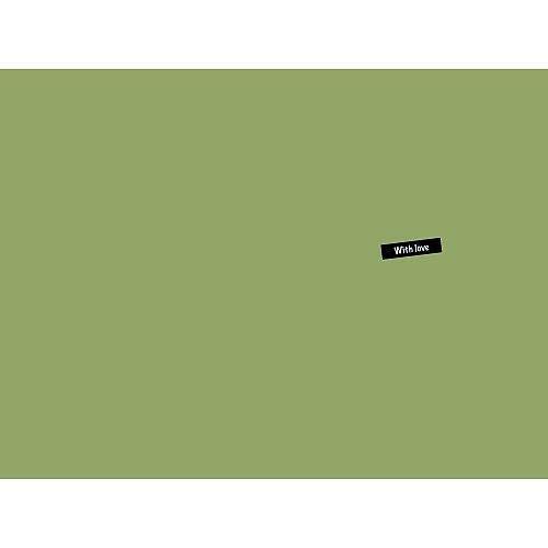 CARENAGE AVANT GAUCHE HONDA FES 125 PANTHEON 1998-2011 / NE 22753