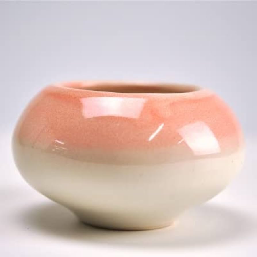 盆栽鉢 清姫もみじの情景盆栽 【瀬戸焼鉢】☆数量物☆ - インテリア盆栽