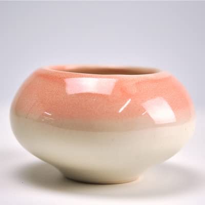 Amazon.co.jp: 盆栽妙 ピンク3.5号 鉢 幅約11cm×高さ約7cm 盆栽 鉢