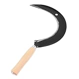 Design durable pour une utilisation durable dans le jardin