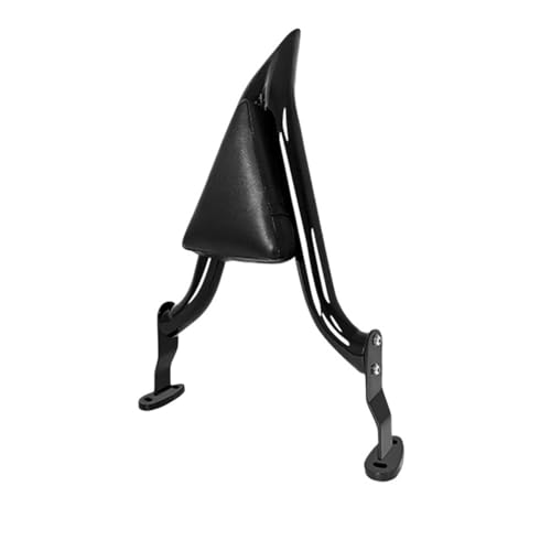 Coussin dossier passager pour Davidson Road Glide 3 et Freewheeler