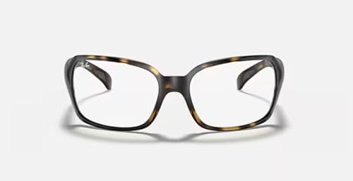 Ray-Ban Womens Rb4068 Square Sunglasses4