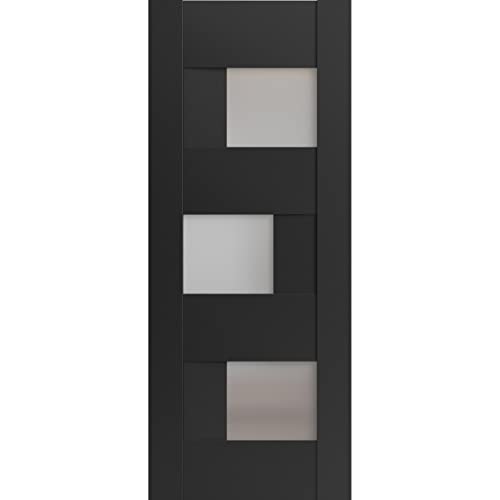 VDOMDOORS Slab Interior Barn Door Panel 30 x 80 inches | Sete 6933 Matte Black Frosted Glass | Sturdy Finished Interior Doors | Pocket Closet Sliding