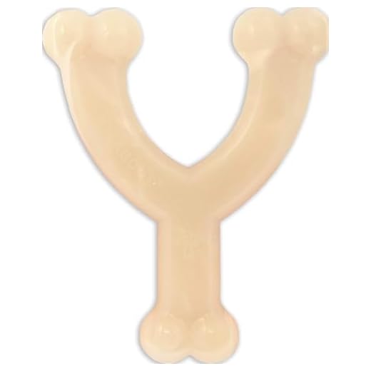 Nylabone Original Wishbone Power Chew Toy for Dogs, Dog Toys for Aggressive Chewers, Original Flavor, Medium - Up to 35 lbs, 1 Count