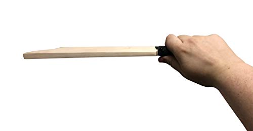 Hat Shark Mini Toy Wooden Signature Cricket Bat and Red Leather Cricket Ball Set with Custom Customized Engraving Personalized Gift